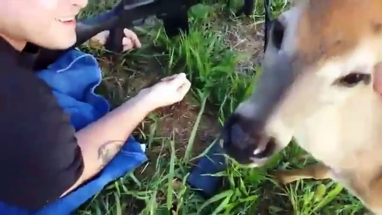 Bravest Deer.