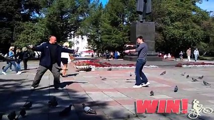 FAIL Blog  Dueling With Pigeons WIN