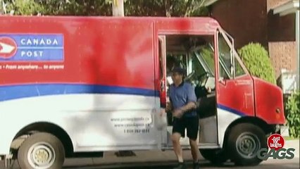 Throwback Thursday - Donkey Delivery Prank