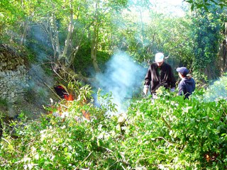 A l'adret du Ventoux, de l'amont vers l'aval, la Nesque propre en 2014