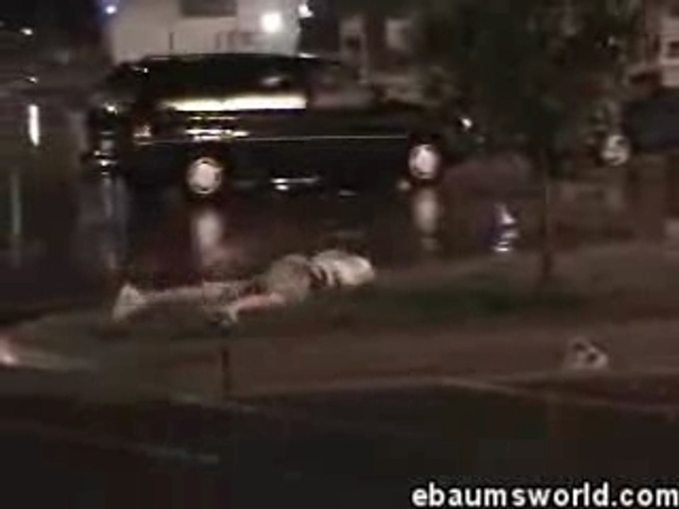 (Videos Insolites)