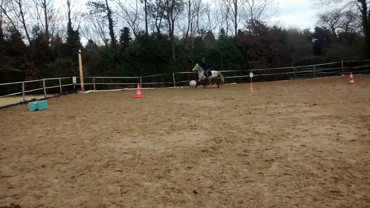 Beauty de la Boisselé - 1ère séance montée