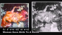 Woman Gave Birth To A Horse - Vichitra Khabrein