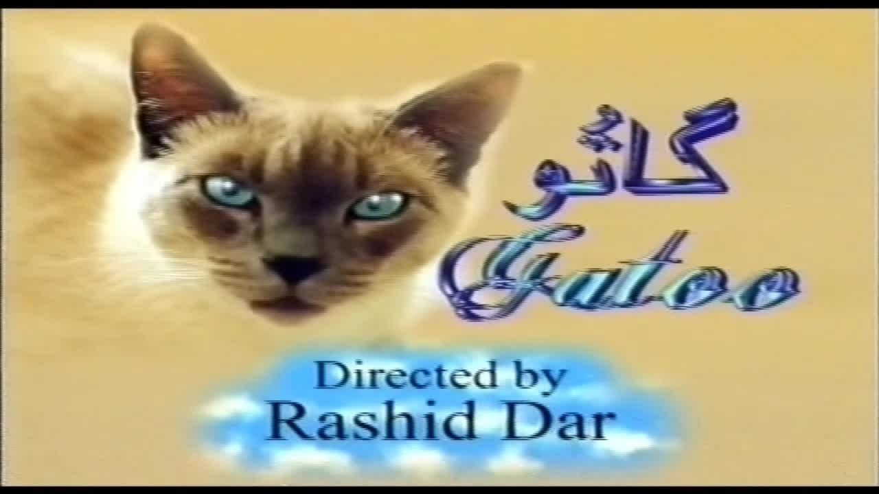 Telefilm 'Gatoo'