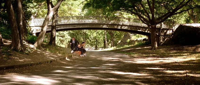 Леон / Профессионал (драма, криминал)