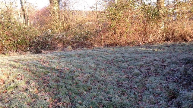 Chasse du 17/01/2015 Rallye des Falaises