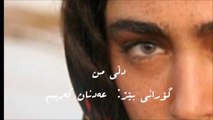 My Heart..Kamkars.. Adnan Karim.. Kurdish Song with Persian Subtitle