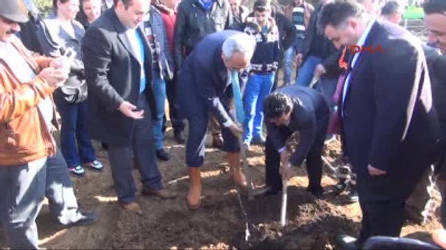 Kınık'ta Hatıra Ormanı İçin İlk Fidanlar Toprakla Buluştu