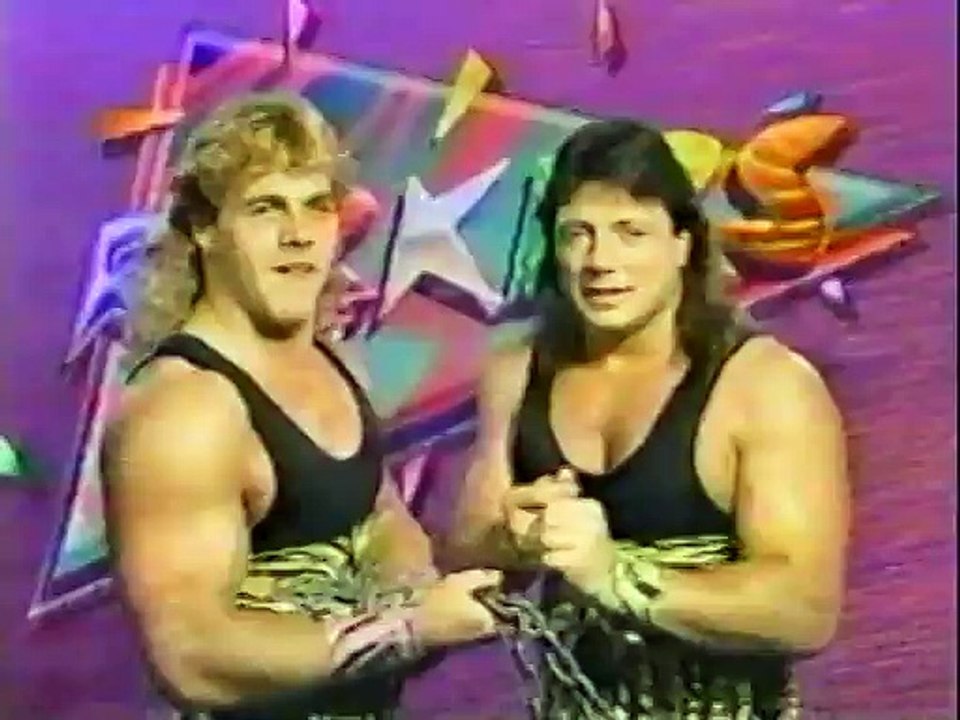 (1990.03.17 WWF) Rocker Promo
