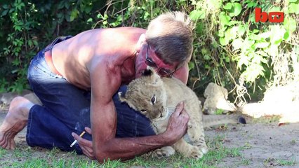 amitié entre un homme et un lion