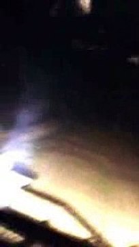 Chasseurs attaqués par des oies et des canards