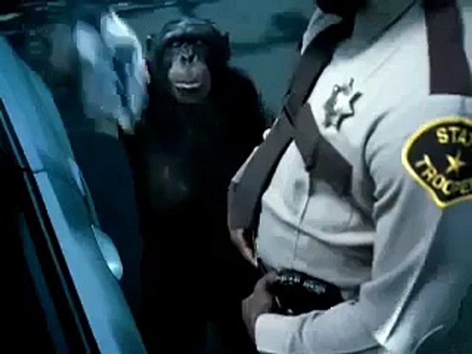 APE CAN BECOME GUARD