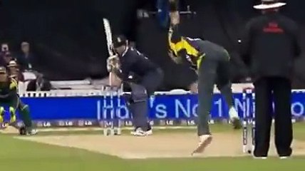 Great Moment: Umar Gul breaks the stump into two Pieces
