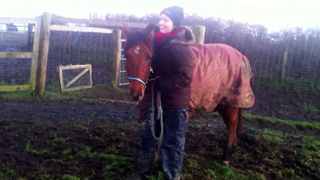Isis QH leading lesson, over the door.