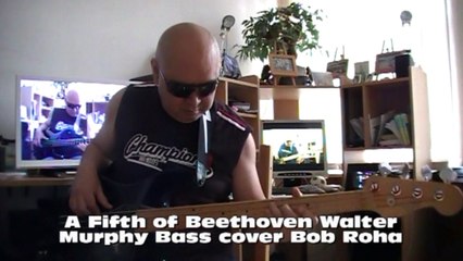 A Fifth of Beethoven Walter Murphy Bass cover Bob Roha
