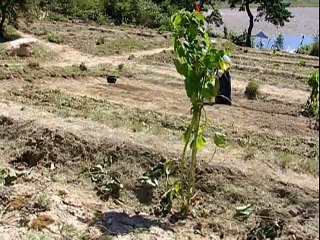 신갈휴게텔그녀 신곡의 오산휴게텔그녀 전해졌고, https://twitter.com/bamwar169 간석오거리