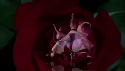 "Desire - The Essence of Feminine Power"  [by Cristian Cirstocea Cer liber]