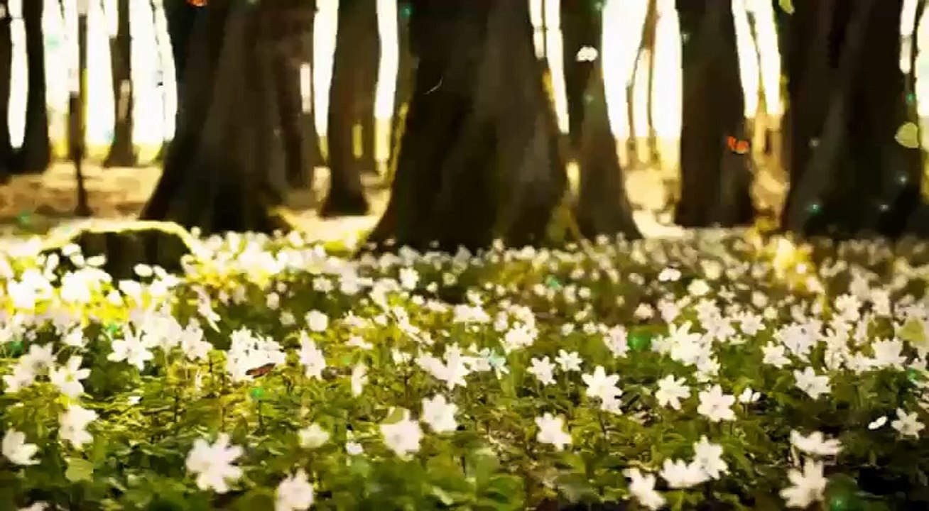 intro