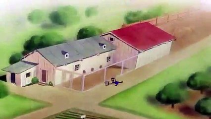 The wise little Katie bunny rabbit