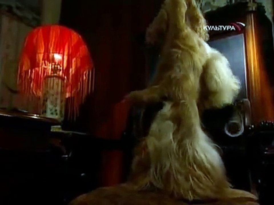 staroetv.su / В музей — без поводка (Культура, 10.02.2006) Илья Репин. "Иван Грозный и сын его Иван"