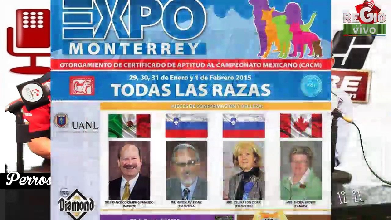 EVENTOS QUE LOS PERROS PREDICEN