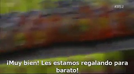 Spy - Espia sub español cap 3(1/2)