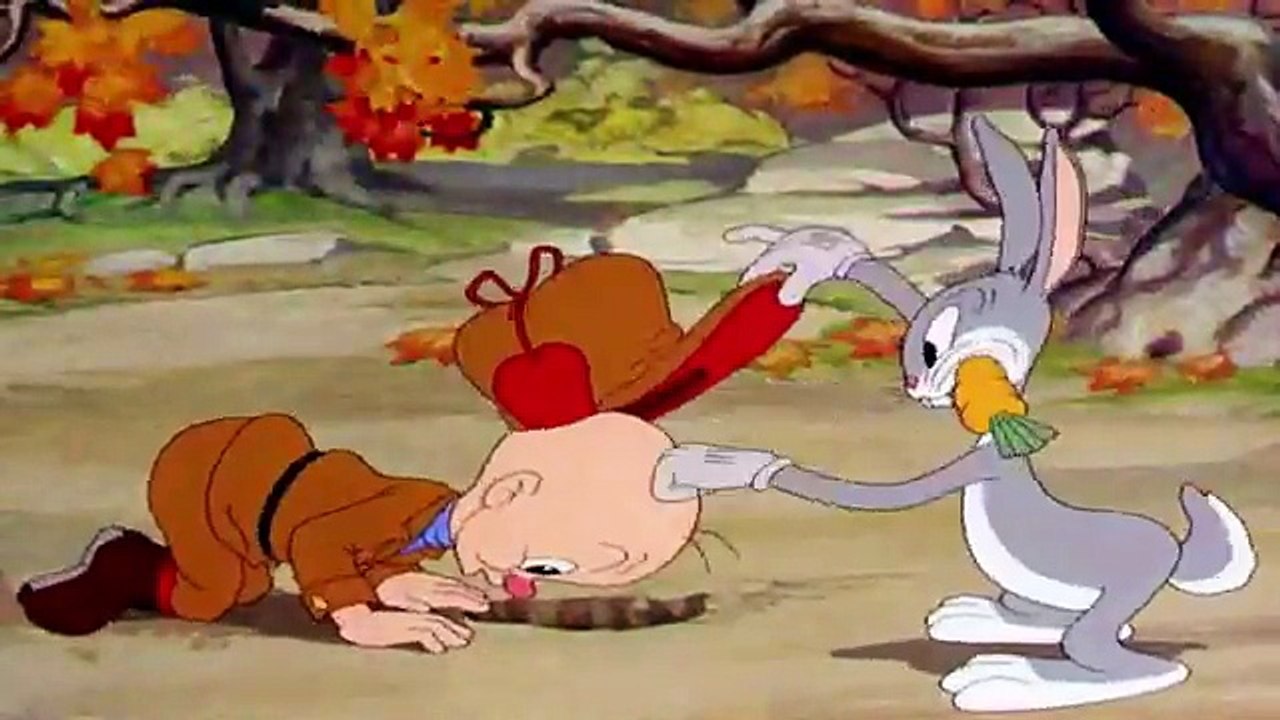 The wild hare video Dailymotion