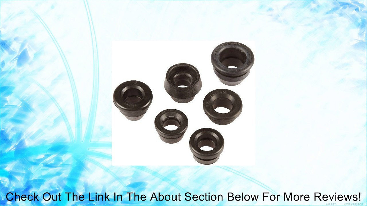 Dorman 42339 Assortment of PCV Grommets, 6 Piece Review