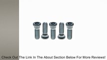 Raybestos 3982B Wheel Hardware- Lug Stud Review