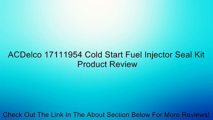 ACDelco 17111954 Cold Start Fuel Injector Seal Kit Review