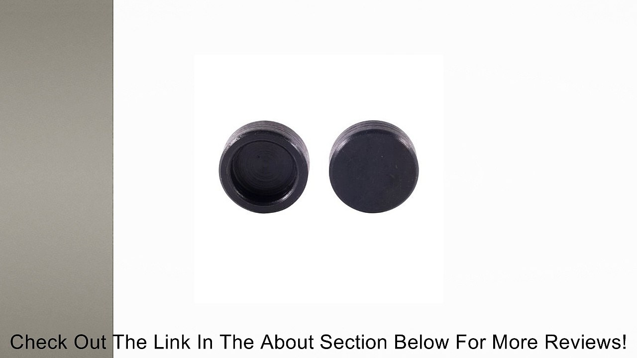 Crane Cams 99421-16 Valve Lash Cap, (Set of 16) Review