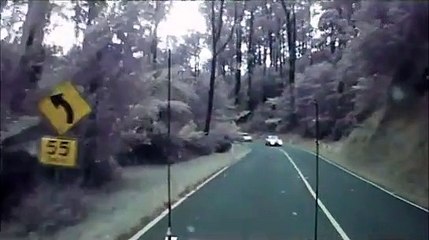 Video herunterladen: Chutes d'arbres très proche des voitures pendant une tempête! Chanceux...