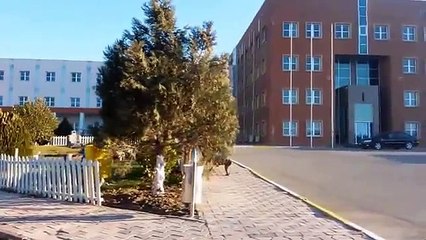 Qafqaz- bir iz, bir ümid, bir həyəcan...