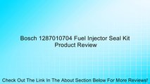 Bosch 1287010704 Fuel Injector Seal Kit Review