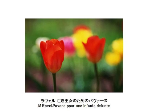 人気名曲ピアノソナタ集 3・Popularity, Famous, Piano Sonata Collection 3（長時間作業用クラシックBGM・CLASSIC）