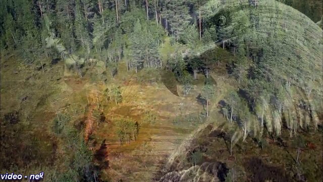 Тимур Рахманов Судьба