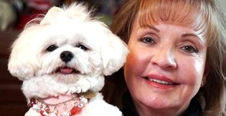 ABD'li Kadın, Mirasının 1 Milyon Dolarını Köpeğine Bıraktı