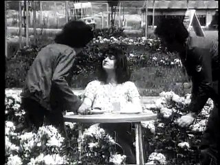 SUNCOKRET Balada o lepoj Rosi