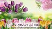 Online Beautiful Tulips Flower Bouquet