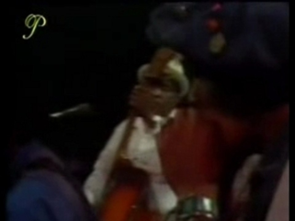Willie Dixon - I got my mojo working