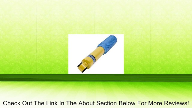 Bilstein B46-1173 Heavy-Duty Gas Shock Absorber Review