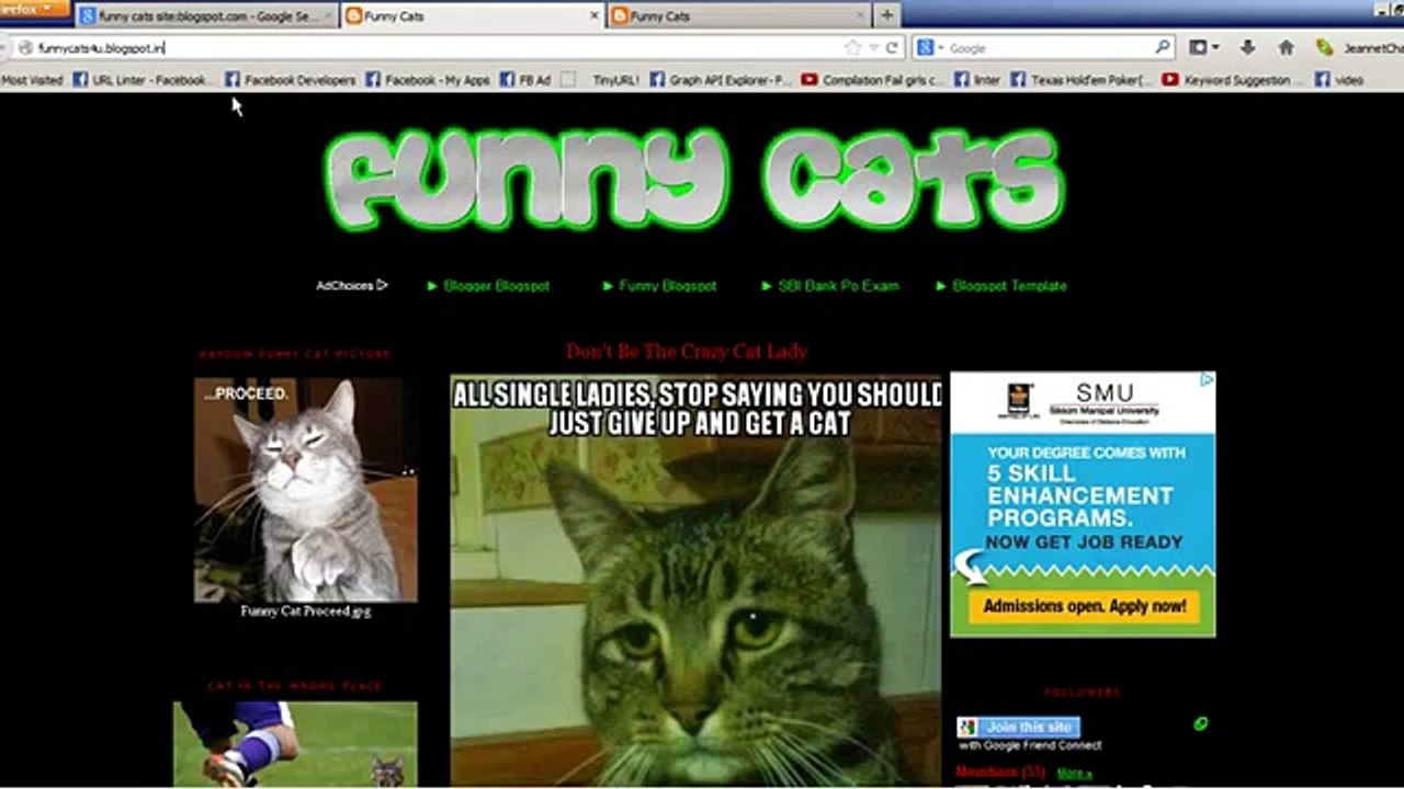 How to make an Autoblog with wordpress
