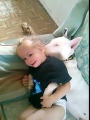 Afacan kız evin köpeğine etmediğini bırakmıyor ama bir türlü uyandıramıyor