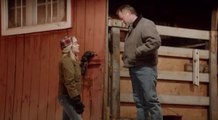 Ruf der Pferde - Trailer (Deutsch)