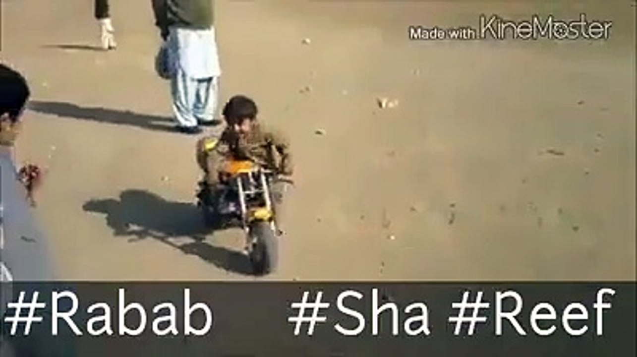 Funny Videos