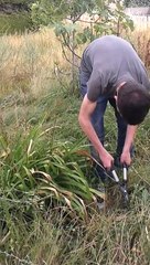 ça vaut le coup d'oeil !!