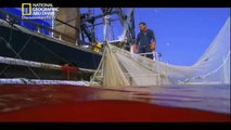 ‫وثائقي - نفذ أو إِنفذ - هجوم القرش HD‬‎
