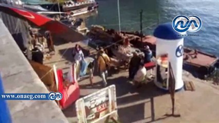ميناء بورسعيد يستقبل سفينة سياحية على متنها 1554 سائحا
