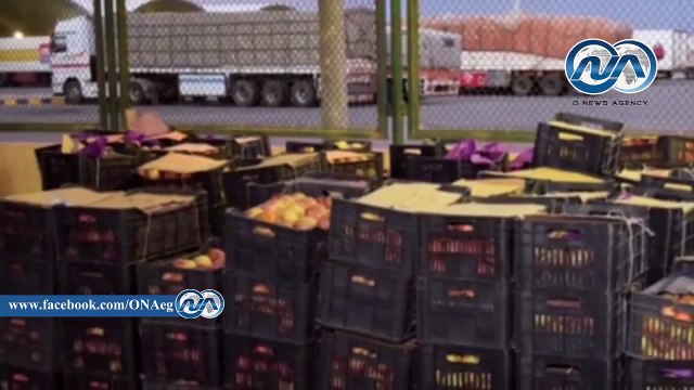 بالفيديو.. إحباط محاولة تهريب 495 كيلو حشيش لداخل البلاد