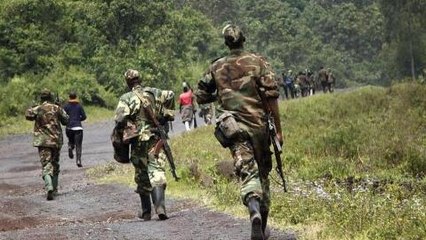 UN prepares for FDLR offensive in DRC